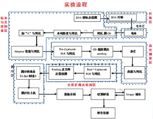 精准操作命格五行测算流程之学术探析