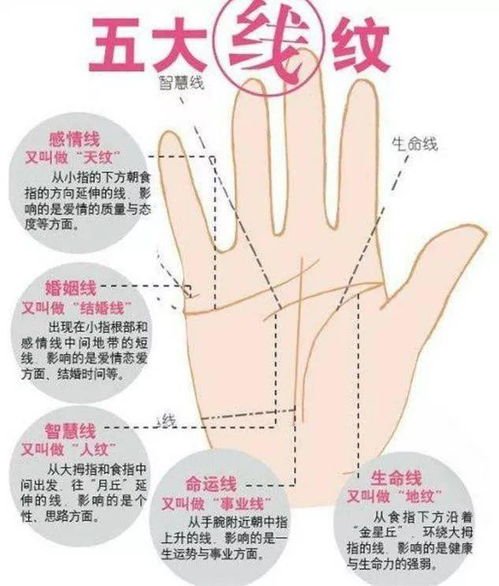 广州芳姐看手相价格是多少？普宁芳姐手相分析贵不贵？