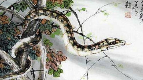 蛇属人在此特殊日子的占星学意义及风水启示
