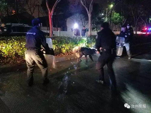 一、 事件原貌的叙事沉重构