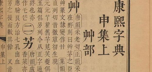 二、 甂字之本义考释：从器物学到文字学