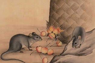 1996年属鼠人在2026年的财运和投资运势如何？