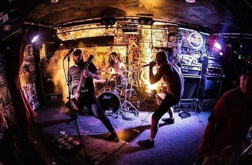 二、 深夜电梯内疑似不雅行为的舆情扩散与伦理审视