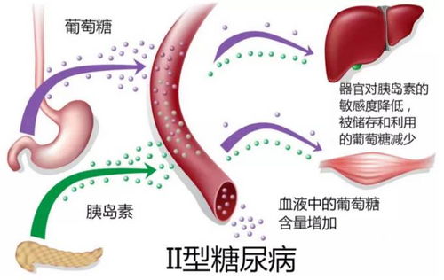 第五章：床下血手出现与风水格局失衡之关联