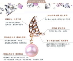 第二章：基于耳部构造的耳环款式甄选策略