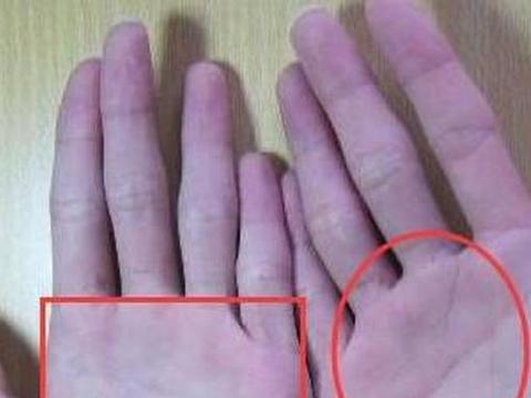 1.2 断掌与创业成功的概率