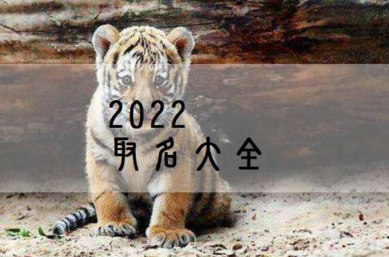 六、 实用案例分享