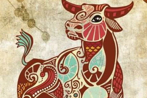 2026年属牛的人犯太岁会怎样，冲太岁该如何化解？