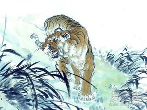 十二生肖中女虎男兔的婚姻和男虎女兔的婚姻情况如何？