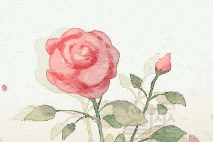 1. 男人梦见红玫瑰：情缘甜蜜
