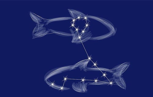 六、 真心话大冒险之鱼式坦白