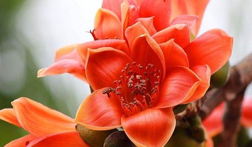 10月底，哪些生肖会好运来袭，桃花朵朵，月老爱神忒别关照呢？