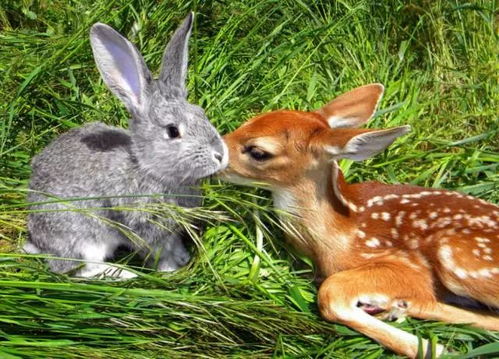 二、 五行八字里的那些事儿