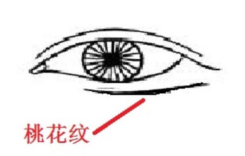 一、魚Tail紋的生理状况形成機制與影響因素