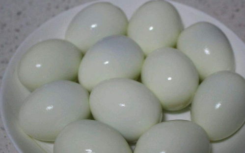 生鸡蛋用于风水布局，其效果如何？