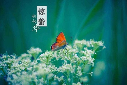 二、 2023年惊蛰时间段表及其文化底蕴内涵