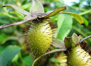 初见：火花还是冷战？