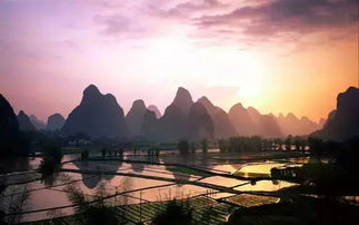 交通：选哪种死法？