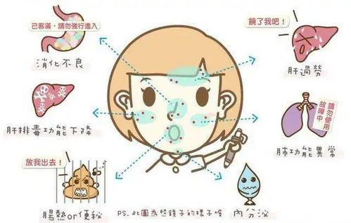 案例叙事文本的结构化呈现