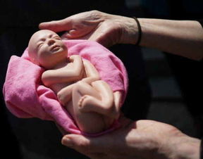 早期征兆：惊扰幼小生命