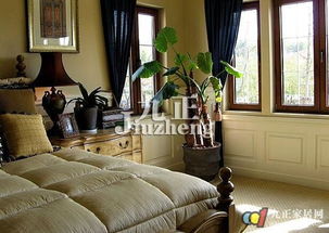 四、 植物的选择与生命力调和