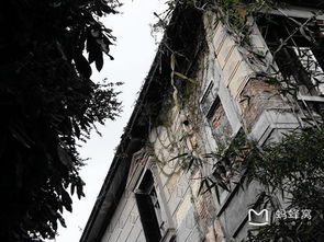古宅现形：斑驳与阴森