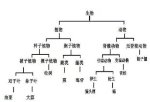 三、伦理伦理维度:从动物特质到人文教化