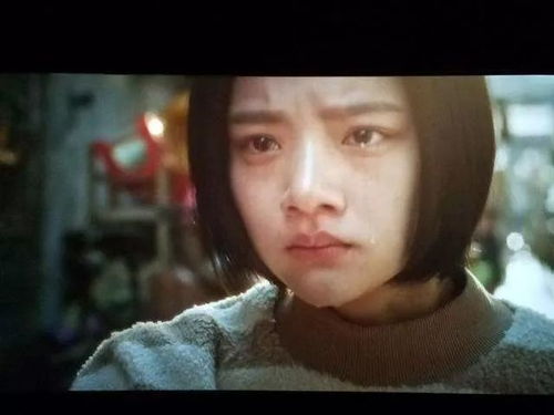 校园霸凌事件：万琦婷遭遇的风暴