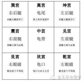 掌丘占卜方法究竟是怎样的？揭秘掌丘占卜技巧！