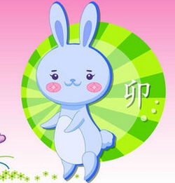 2018年出生的人属什么生肖，现在几岁了？