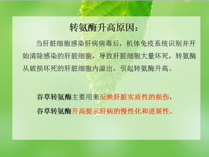 1.1 辟谷禅修之学术定位