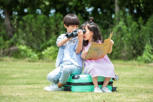 四、 娃娃成群的正面效应分析