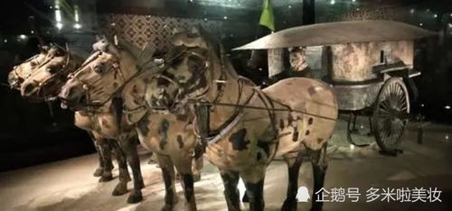 一、 研究背景与意义