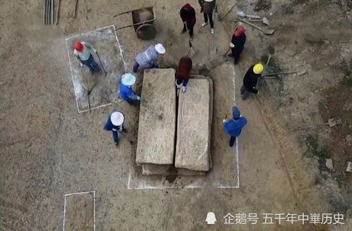 风水学对坟墓生白蚁的吉凶断法