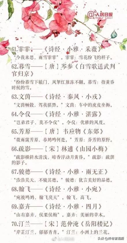 一、 探究背景与意义