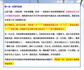 7. 课堂注意力的聚焦与能量守恒
