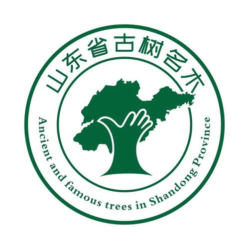 班徽设计：从灵感到落地的完整解决方案