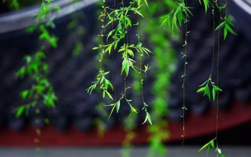 四、 迎夏仪式及娱乐活动：社会生活方式的多元呈现