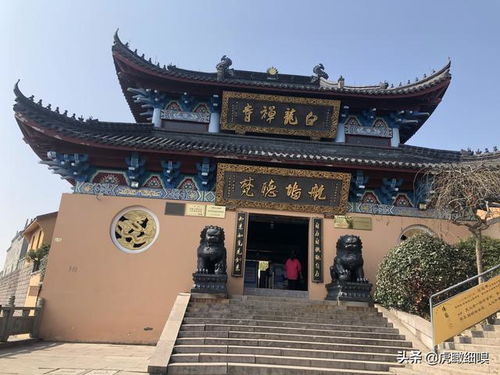 杭州白龙禅寺供奉的神是谁？算命服务又是如何进行的？