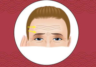 四、 额头特征与智慧、教育水平之关系