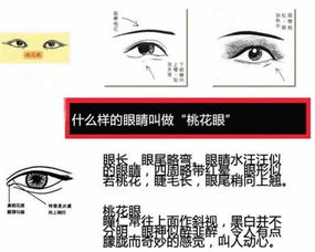 二、 长桃花眼的命运解读：机遇与挑战并存