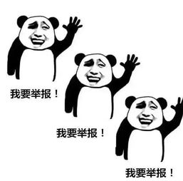 生肖特性与基础网名构想