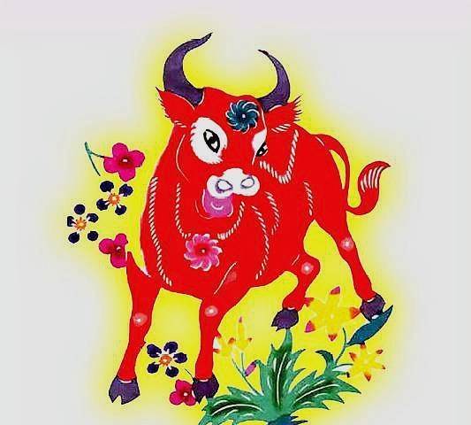 生肖猪与虎年的六合关系及其风水意义