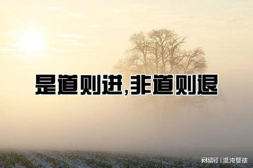 尊重因果循环：避免强求之念