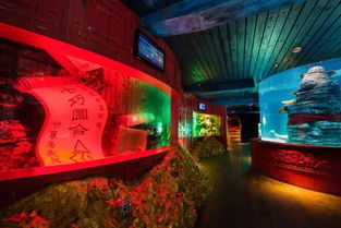 2026年天气预测：暴雨中看海豚更带感？