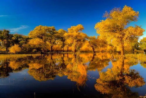 薅羊毛大法来啦！省钱省到笑醒