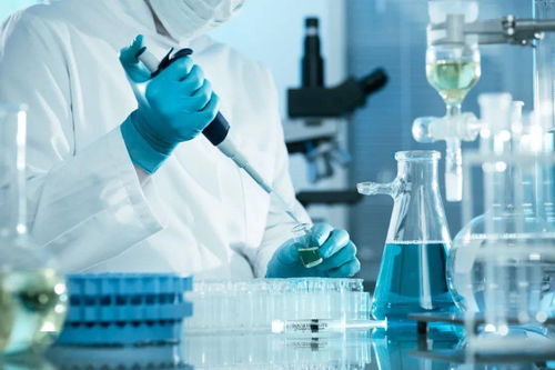 科研人员：独立思考与敏锐洞察力的体现