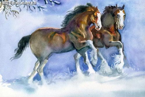 醉怒醒喜是什么生肖动物？