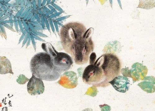 2026年属兔双鱼男和属龙双鱼男的婚姻感情状况如何？