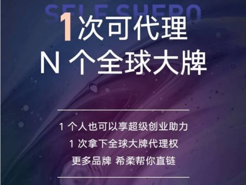 一、  数字化时代的流量逻辑与语义矩阵构建